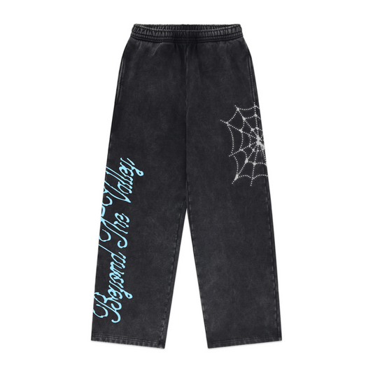 BTV 25/26 | Web Joggers - Black